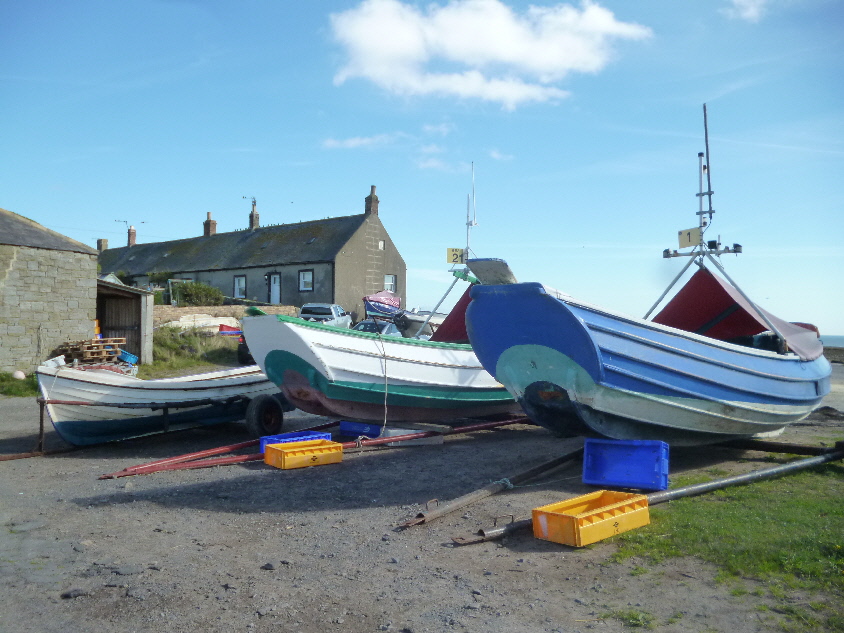 113alnmouth